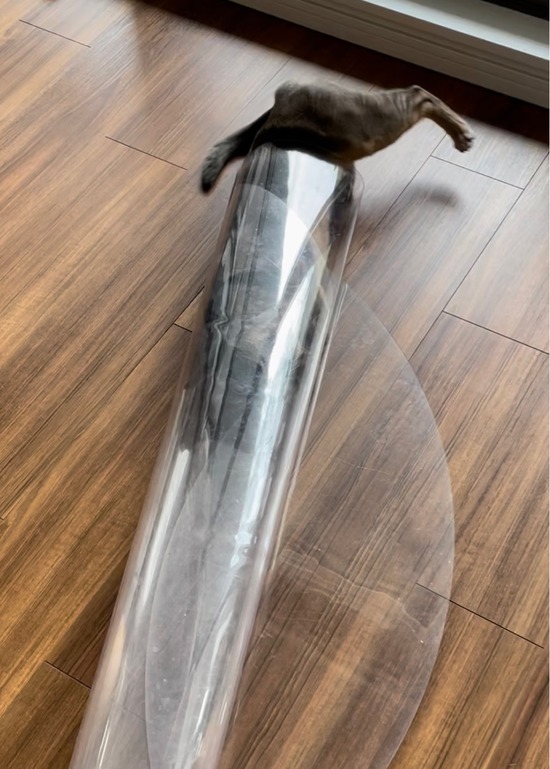 FullSizeRender
