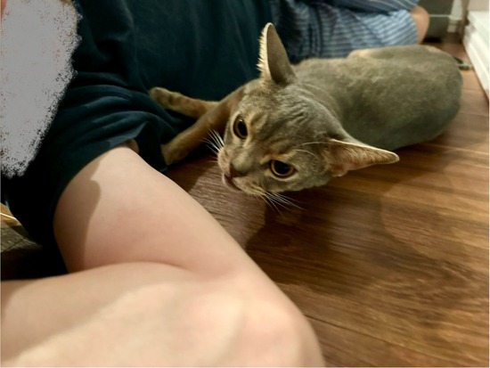FullSizeRender
