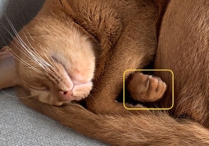 FullSizeRender