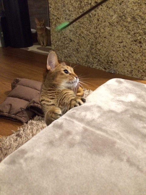 {75078D41-BE46-43FE-B90A-AC54F14E3265:01}