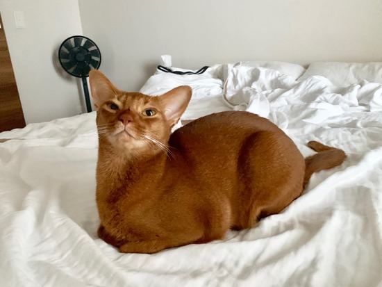 FullSizeRender