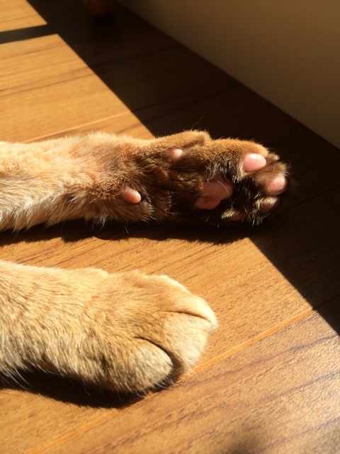 {CCCA3A48-7D97-4D73-846D-10AA1F470033:01}