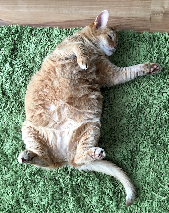 BD03C172-9CC3-4FCE-95AD-A668B9D61F36