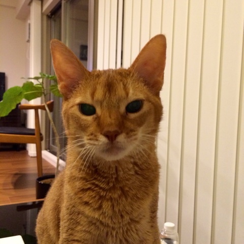 {84175E22-0BDE-444D-A3BF-F4597EB78A01:01}