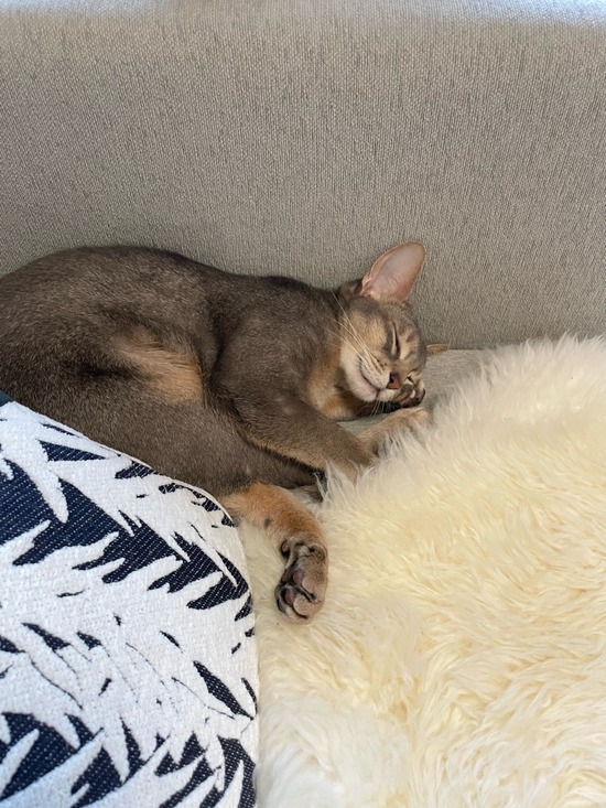 FullSizeRender