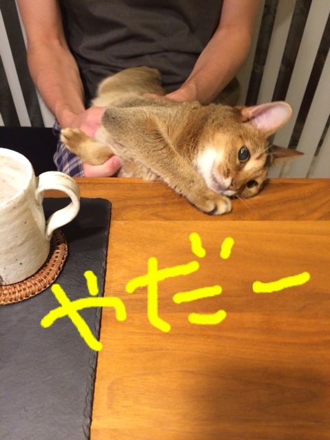 {90297E1C-D587-4CDF-A9C7-D801B33F9CE9:01}