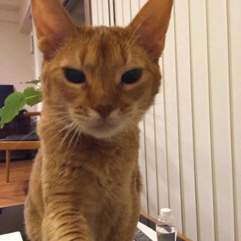 {AC06682C-4058-4FA8-AE85-CBEC143269B5:01}