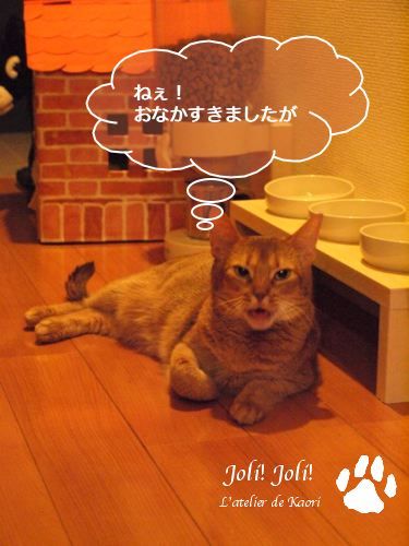 joli!joli!のおうちごはんとおかしとねこ♪