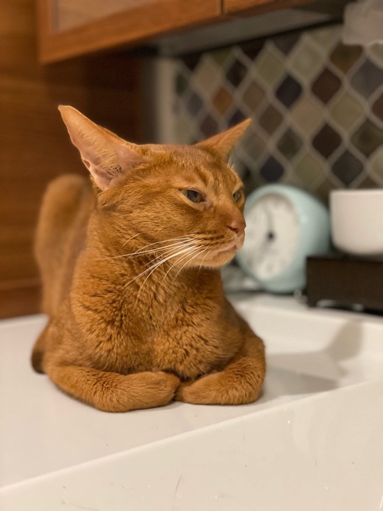 FullSizeRender
