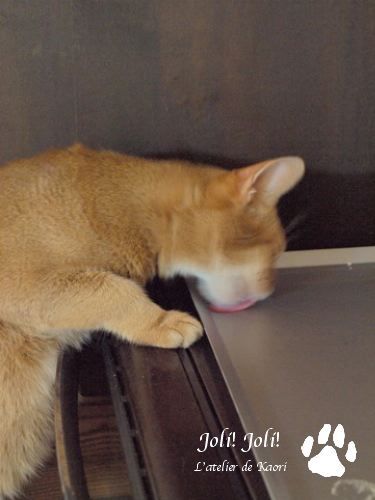 joli!joli!のおうちごはんとおかしとねこ♪