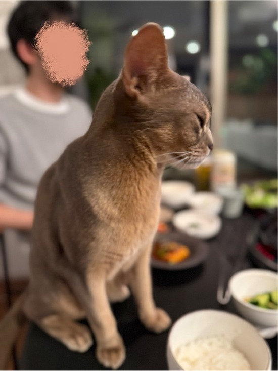 FullSizeRender