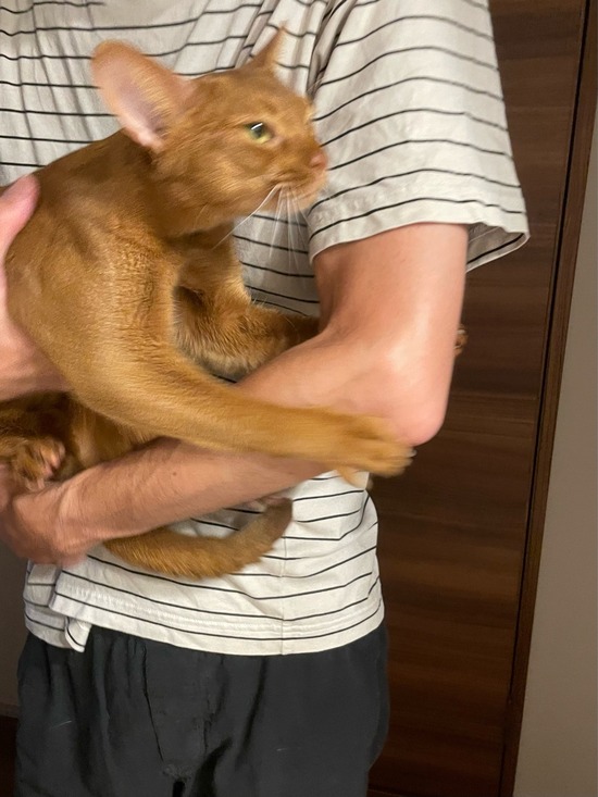 FullSizeRender