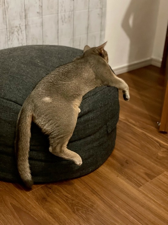 FullSizeRender