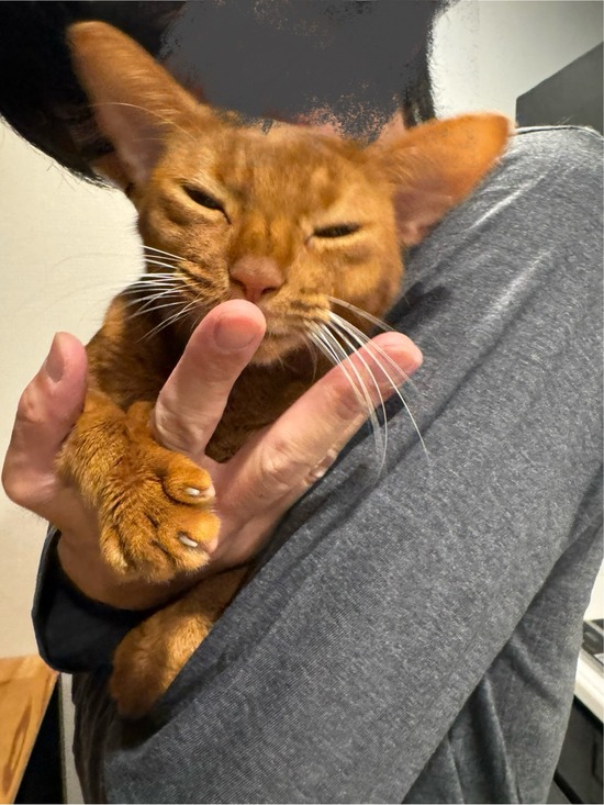 FullSizeRender