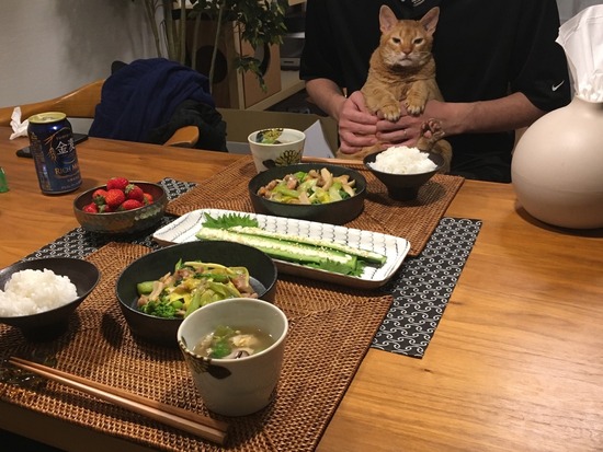 DB0CC45C-29A2-4351-9A83-305271C677F0