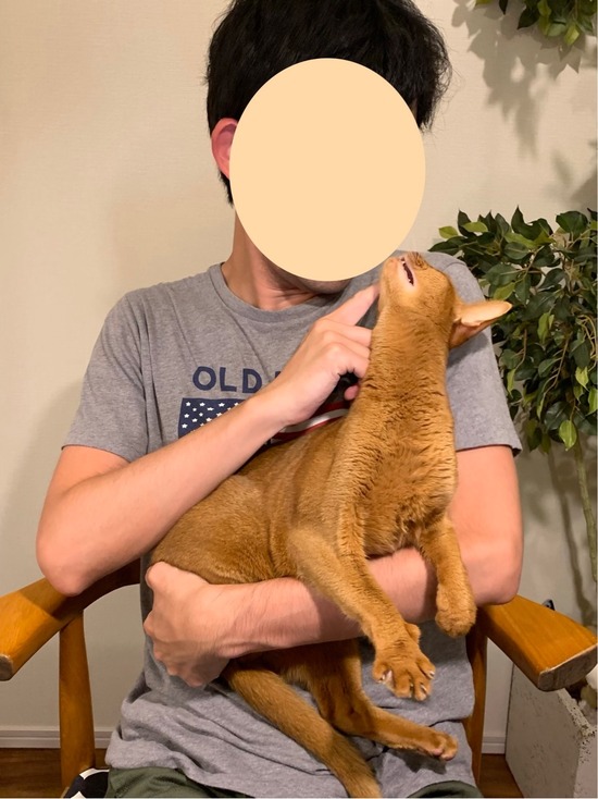 FullSizeRender