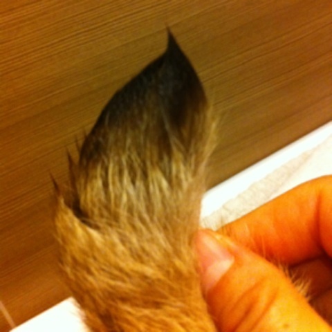 photo:04
