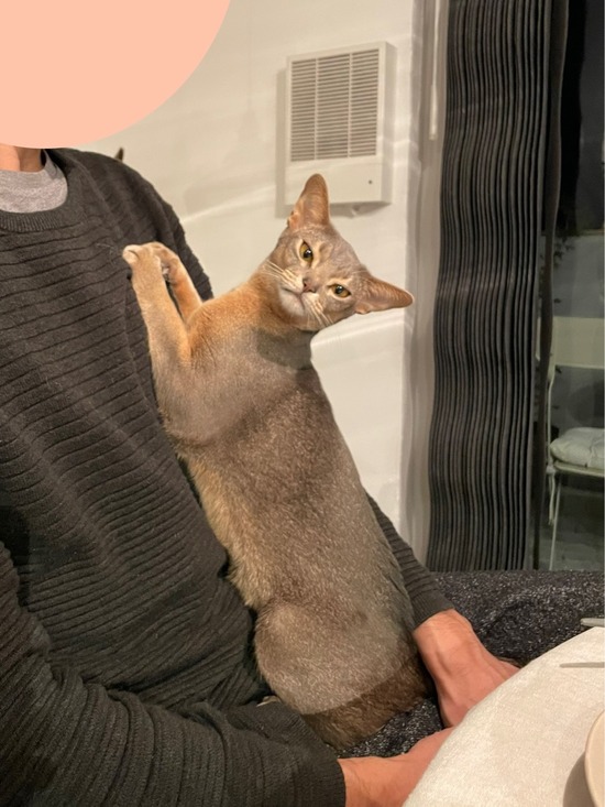 FullSizeRender