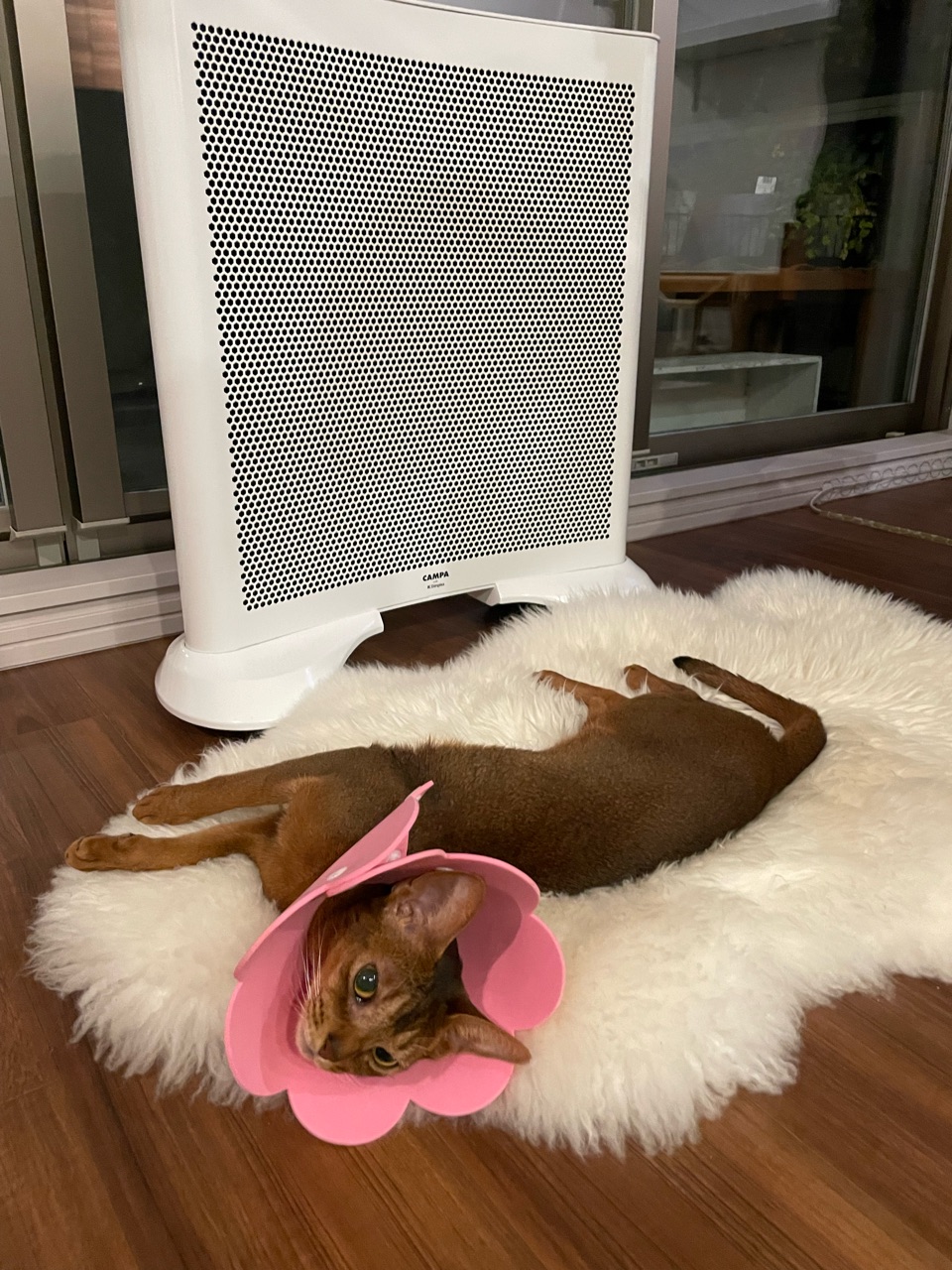 CAMPA XCPHO09-2WH パネルヒーター ホワイト 【公式通販】