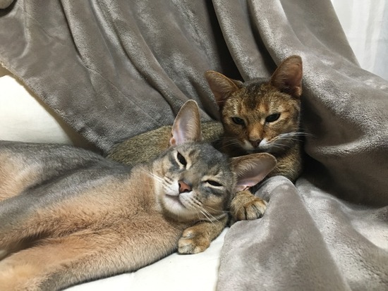 D46D33D7-7A5A-49A2-BC3A-6C3798900B14