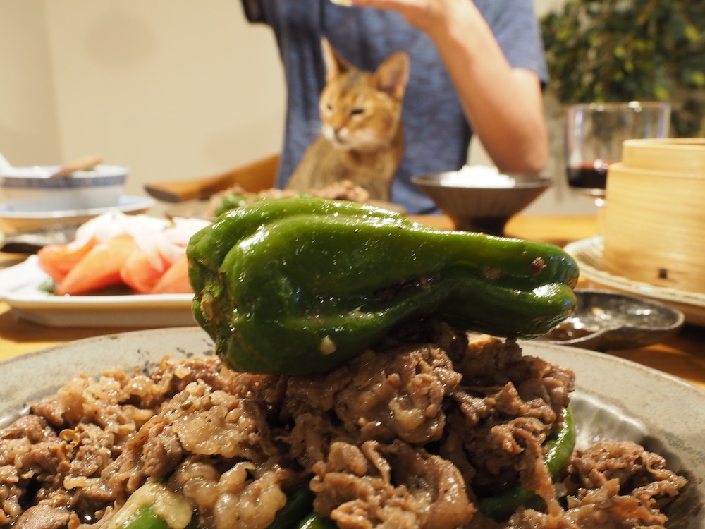 ピーマン丸ごと牛細炒めの夜ご飯と、上目遣いがすぎるとの : おうち 
