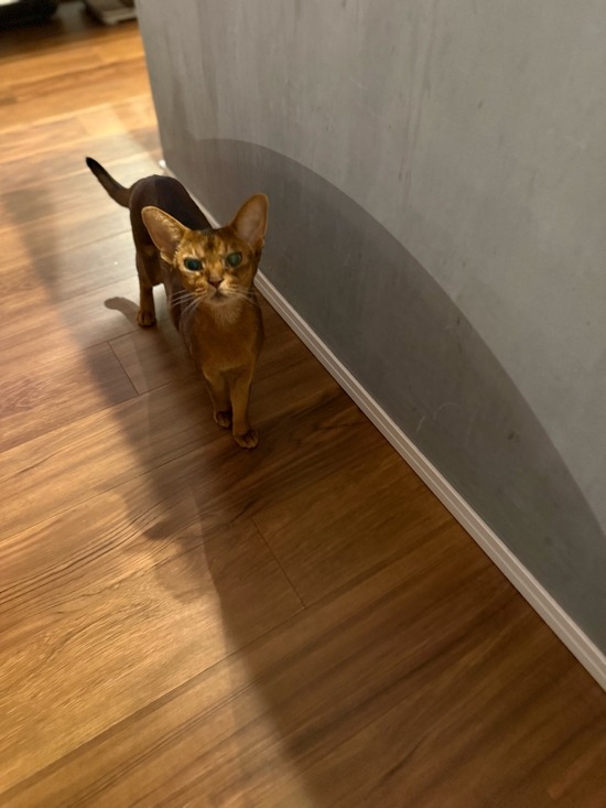 FullSizeRender
