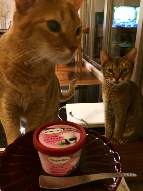 {5AAAD54C-BFFA-4572-95B3-A8D4B2974EF5:01}