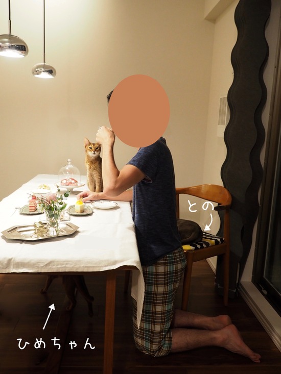 PB214585 2