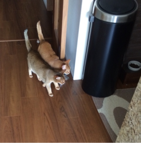 {3B0BB379-59CE-4B2B-B9E4-40EE9F2D5AA7:01}