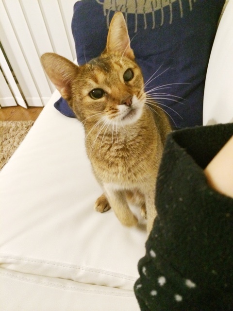 {943B223E-99A7-4294-9217-09FD053950AA:01}