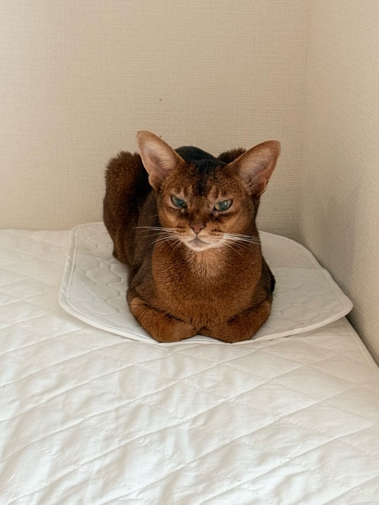 FullSizeRender