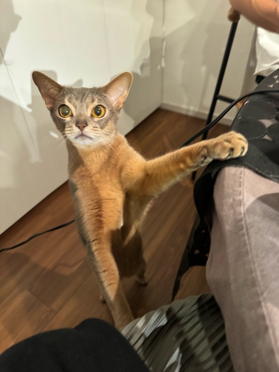 IMG_3549