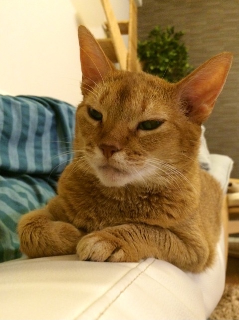 {97DE531F-DFBE-42CB-8891-FBF0BFC346B6:01}