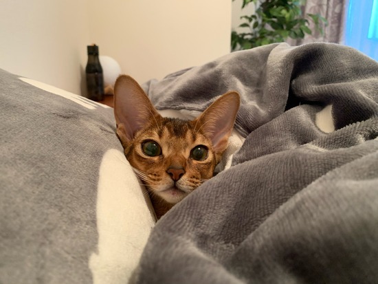 B2F674CD-E478-46DA-ACCB-9BB978A99060