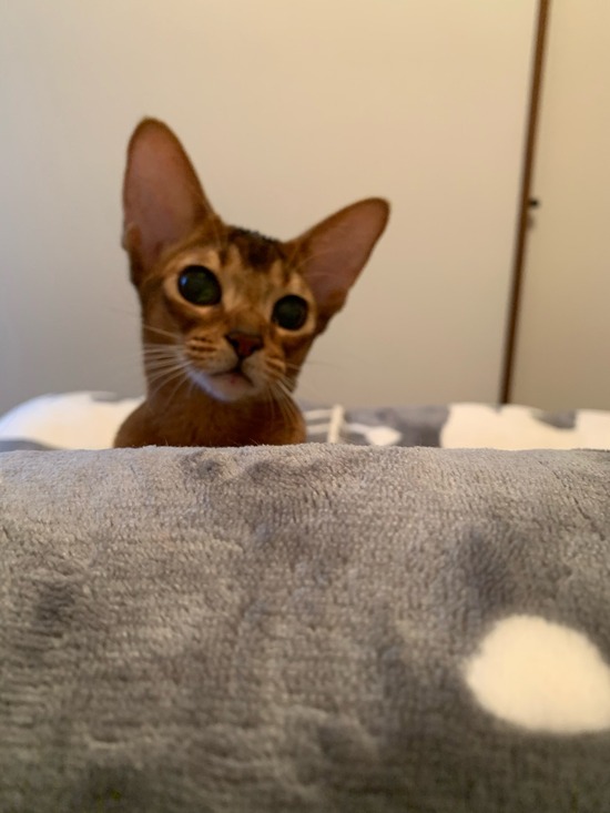 A3E61927-FB3C-4F81-9C57-B0A5CD0CF0C3