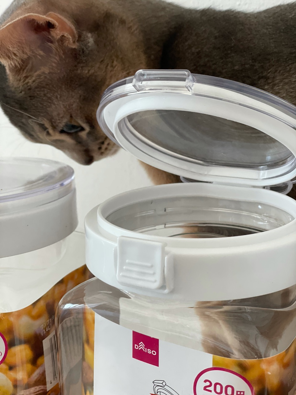 ダイソーに、フレッシュロックそっくりさんが売ってた。 : おうち 