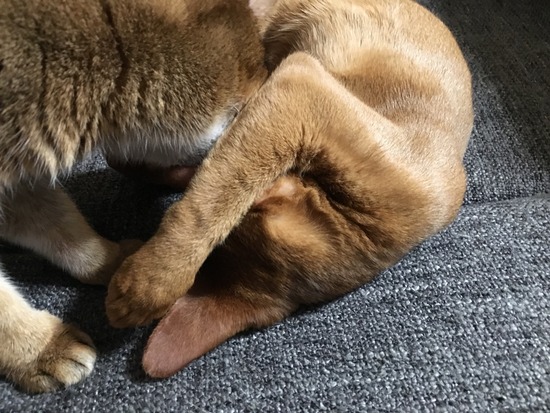 226C8C85-9310-4C61-B7C0-B5867E1EBFCC