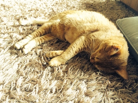 {24ED290C-9E52-4511-9768-D7947C6F0730:01}