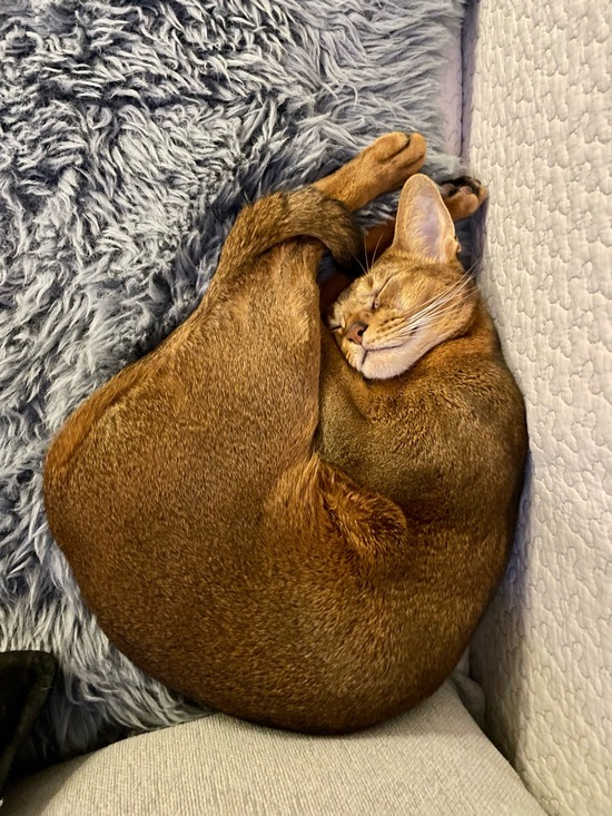 FullSizeRender