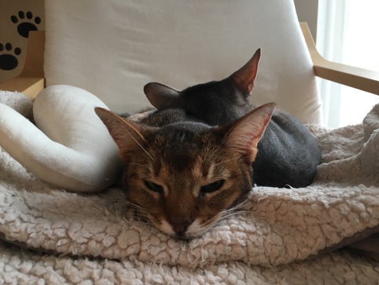 5B57D081-FE94-4B54-B243-BA2B3367753E