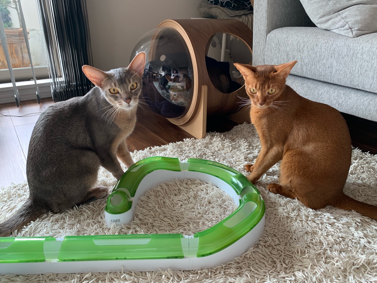 ぼくたち、わたしたちに、素敵なプレゼント : おうちごはんとおかしと