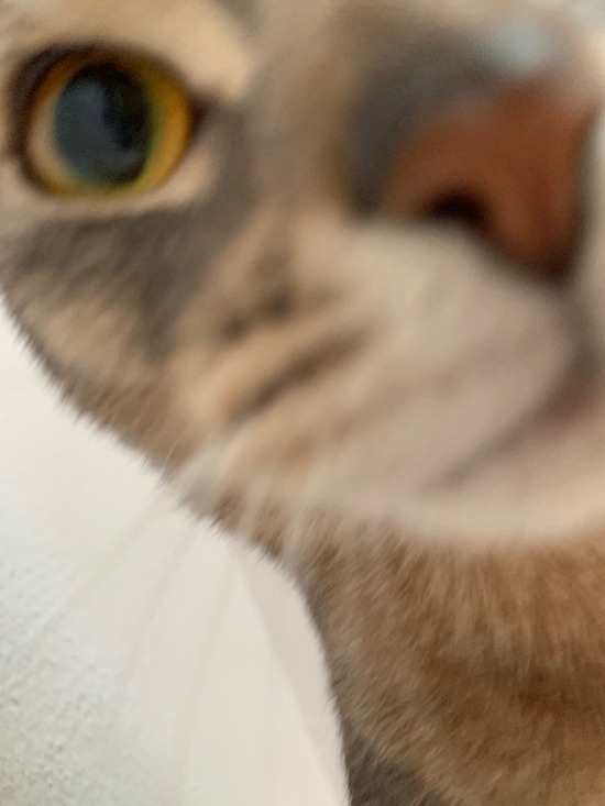 FullSizeRender