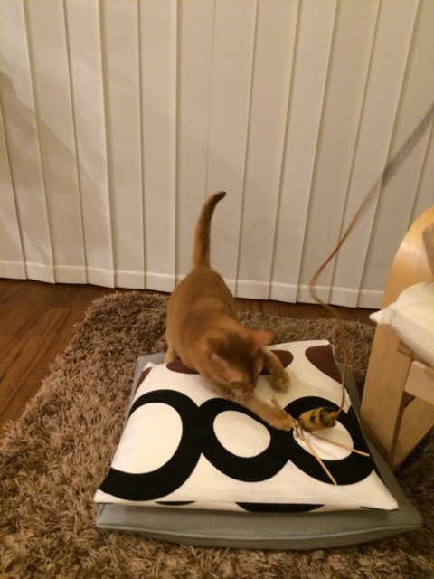 {E1472960-794A-4440-AADA-5FAE33764592:01}