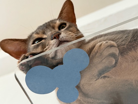 FullSizeRender