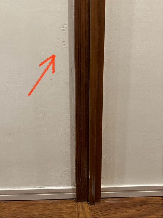 FullSizeRender