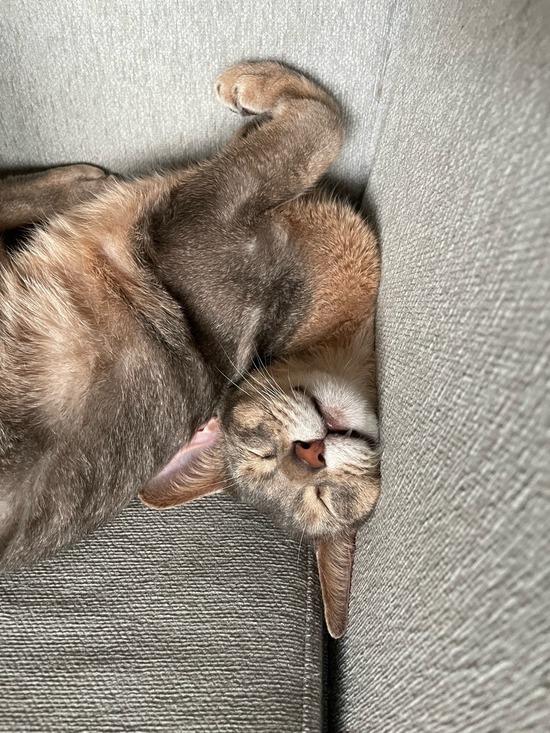 62E7A88E-486F-4F3F-B513-12B37BF4F8A0