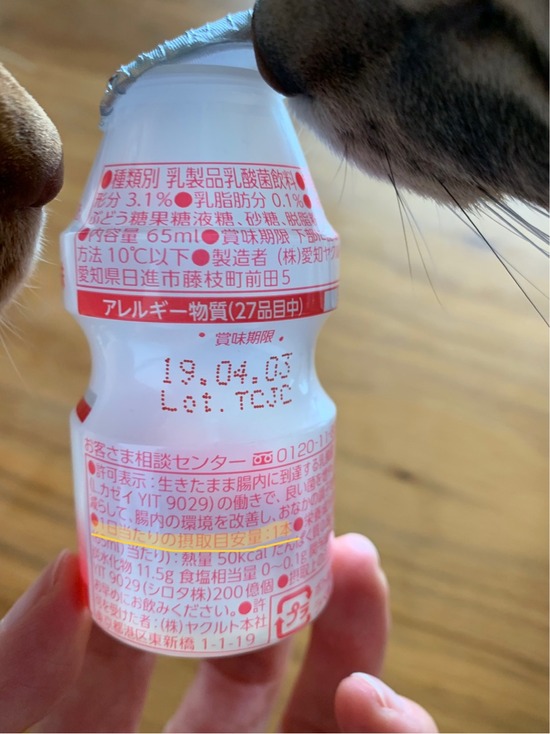 FullSizeRender
