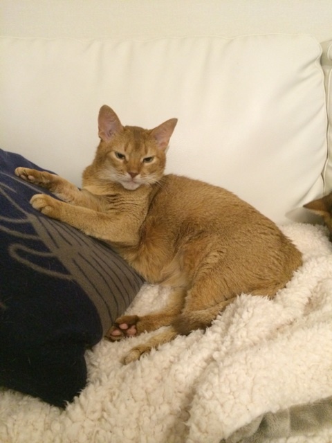 {B9006F35-545F-48CB-989A-9691479E0DCA:01}