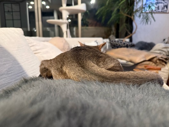 FullSizeRender