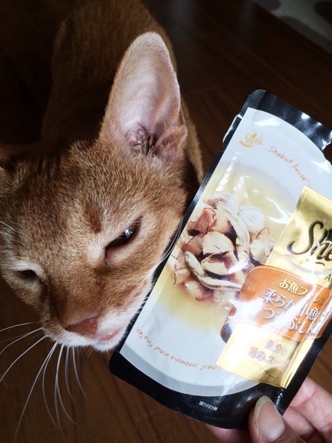 {4C62FC68-2E90-4DC2-8E7A-94A721E77B8C:01}